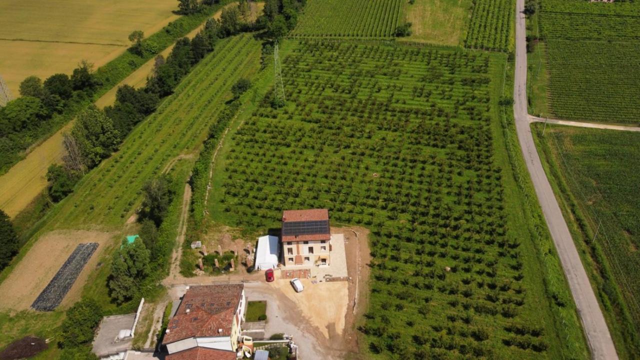 Corte Bottura Agriturismo Castelnuovo del Garda Eksteriør billede