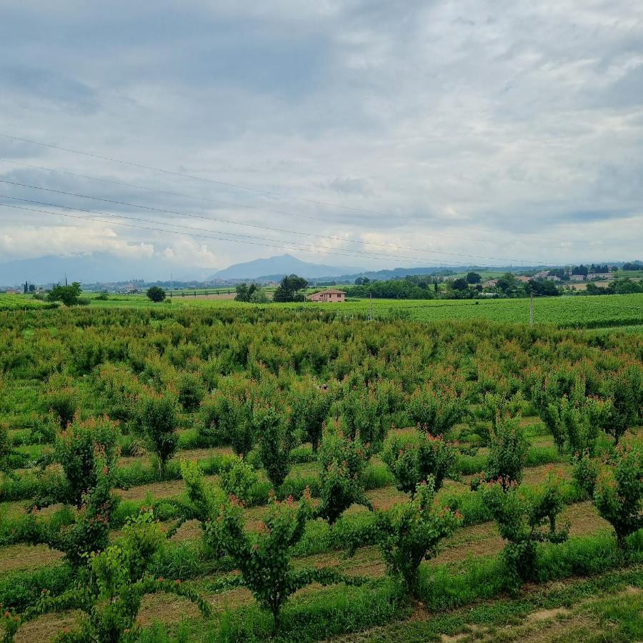 Corte Bottura Agriturismo Castelnuovo del Garda Eksteriør billede